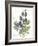 July Delphinium on White-Katie Pertiet-Framed Art Print