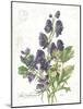 July Delphinium on White-Katie Pertiet-Mounted Art Print