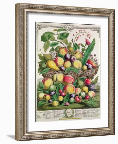 July, from 'Twelve Months of Fruits'-Pieter Casteels-Framed Giclee Print