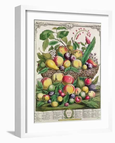 July, from 'Twelve Months of Fruits'-Pieter Casteels-Framed Giclee Print