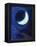 July Moon, 2014-Nancy Moniz-Framed Premier Image Canvas