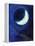 July Moon, 2014-Nancy Moniz-Framed Premier Image Canvas