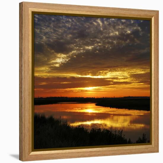 July Sunrise-Adrian Campfield-Framed Premier Image Canvas