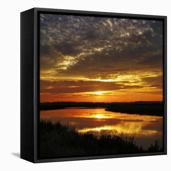 July Sunrise-Adrian Campfield-Framed Premier Image Canvas