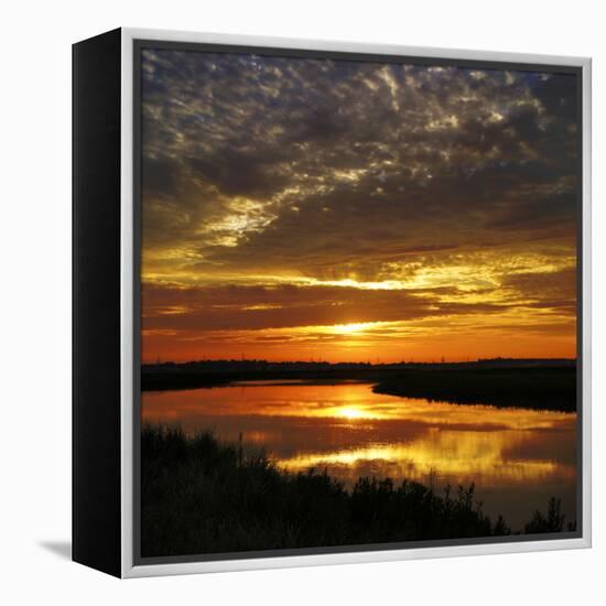 July Sunrise-Adrian Campfield-Framed Premier Image Canvas