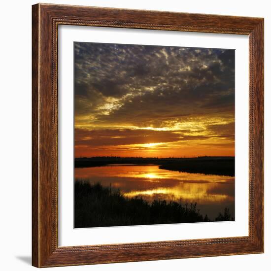 July Sunrise-Adrian Campfield-Framed Photographic Print