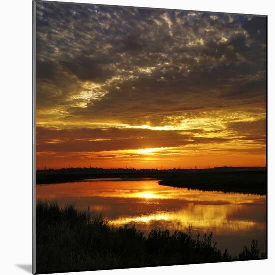 July Sunrise-Adrian Campfield-Mounted Photographic Print