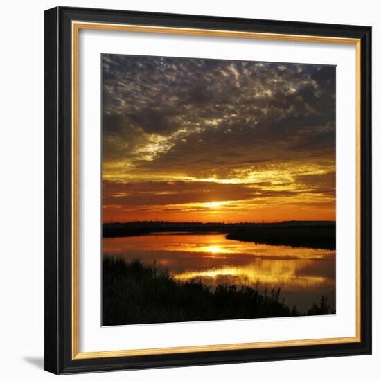 July Sunrise-Adrian Campfield-Framed Photographic Print