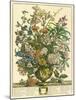 July-Robert Furber-Mounted Giclee Print