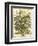 July-Robert Furber-Framed Premium Giclee Print