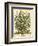 July-Robert Furber-Framed Premium Giclee Print