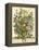 July-Robert Furber-Framed Stretched Canvas