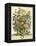 July-Robert Furber-Framed Stretched Canvas