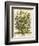 July-Robert Furber-Framed Art Print