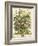 July-Robert Furber-Framed Art Print