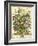 July-Robert Furber-Framed Art Print