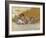 July-David Lindsley-Framed Giclee Print