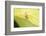 Jumber-Tanachot Srijam-Framed Photographic Print