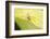 Jumber-Tanachot Srijam-Framed Photographic Print