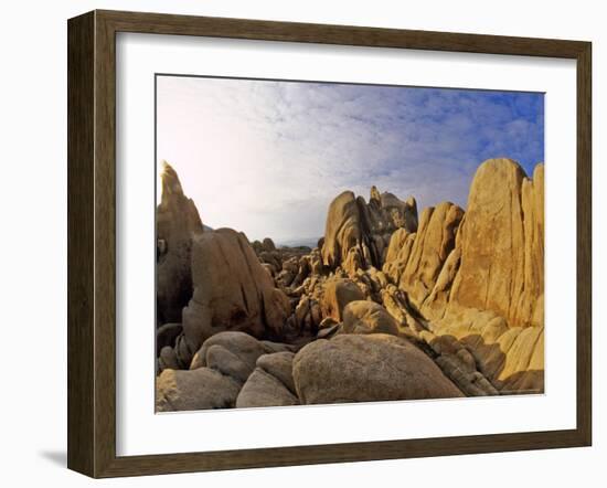 Jumbled Rocks, Joshua Tree National Park, California, USA-Chuck Haney-Framed Photographic Print