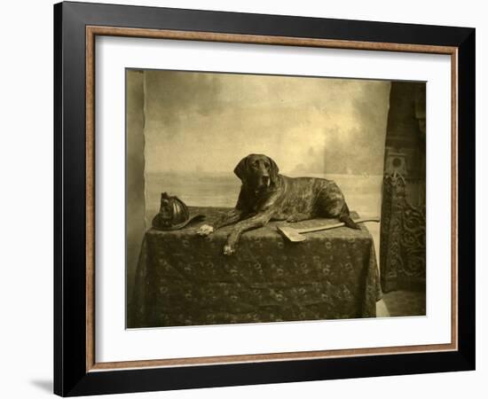 Jumbo, Mascot of Tacoma Fire Department, Engine Co. No. 4 (October 4, 1902)-null-Framed Giclee Print