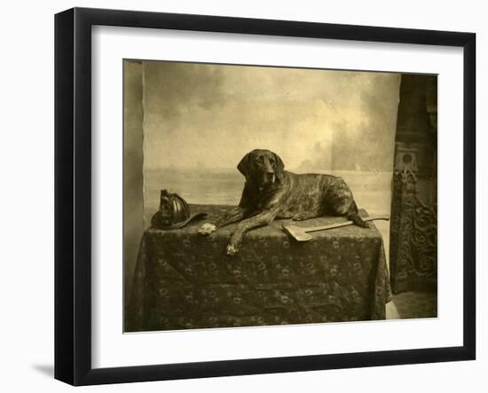 Jumbo, Mascot of Tacoma Fire Department, Engine Co. No. 4 (October 4, 1902)-null-Framed Giclee Print