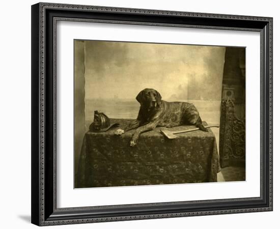 Jumbo, Mascot of Tacoma Fire Department, Engine Co. No. 4 (October 4, 1902)-null-Framed Giclee Print