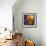 Jumbo Orange and Grapefruit-null-Framed Giclee Print displayed on a wall