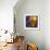 Jumbo Orange and Grapefruit-null-Framed Giclee Print displayed on a wall