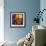 Jumbo Orange and Grapefruit-null-Framed Giclee Print displayed on a wall