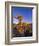 Jumbo rocks at Joshua Tree National Park, California, USA-Chuck Haney-Framed Photographic Print