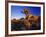 Jumbo Rocks at Joshua Tree National Park in California, USA-Chuck Haney-Framed Photographic Print