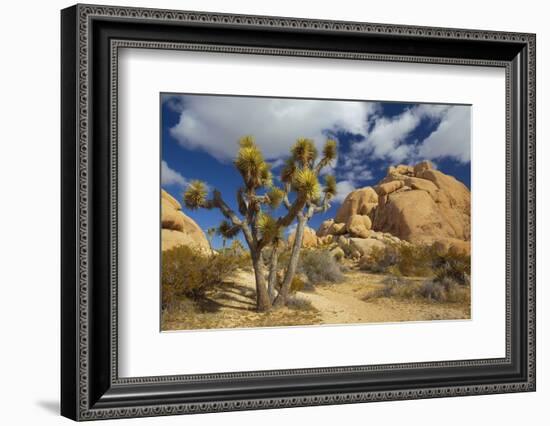 Jumbo Rocks, Joshua Tree National Park, California, USA-Charles Gurche-Framed Photographic Print