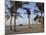 Jumeirah Beach and the Burj Al Arab Hotel, Dubai, United Arab Emirates, Middle East-Amanda Hall-Mounted Photographic Print