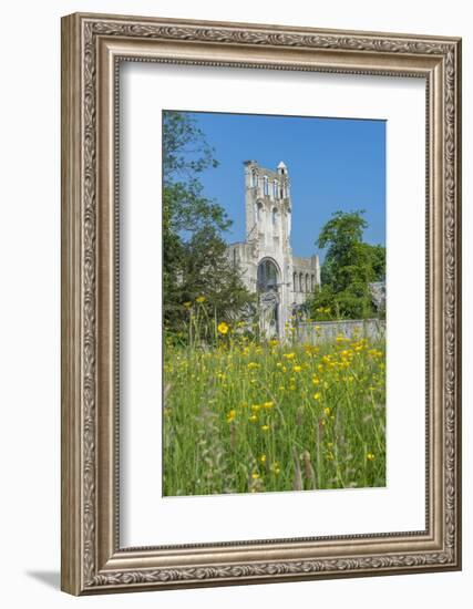 Jumieges Abbey, Jumieges, Normandy, France-Lisa S. Engelbrecht-Framed Photographic Print