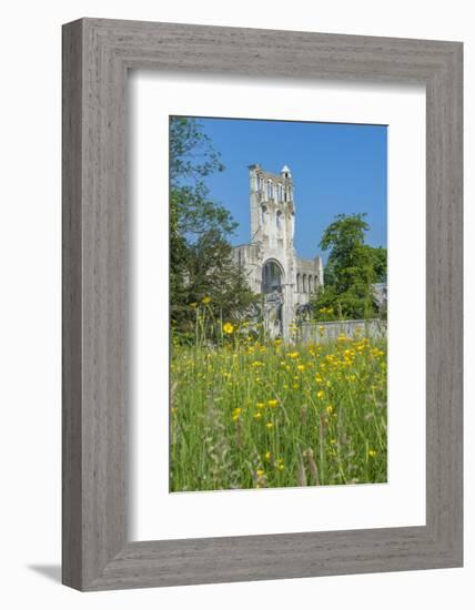 Jumieges Abbey, Jumieges, Normandy, France-Lisa S. Engelbrecht-Framed Photographic Print