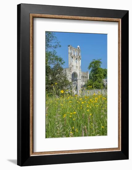 Jumieges Abbey, Jumieges, Normandy, France-Lisa S. Engelbrecht-Framed Photographic Print