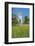 Jumieges Abbey, Jumieges, Normandy, France-Lisa S. Engelbrecht-Framed Photographic Print