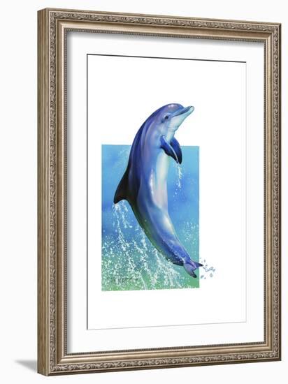 Jump Dolphin-Tim Knepp-Framed Giclee Print