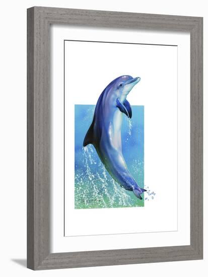 Jump Dolphin-Tim Knepp-Framed Giclee Print