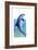 Jump Dolphin-Tim Knepp-Framed Giclee Print