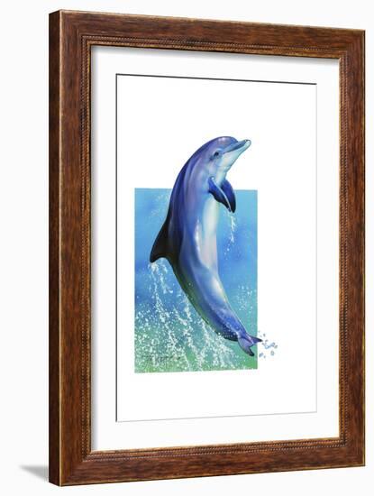 Jump Dolphin-Tim Knepp-Framed Giclee Print