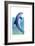 Jump Dolphin-Tim Knepp-Framed Giclee Print