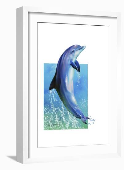 Jump Dolphin-Tim Knepp-Framed Giclee Print
