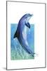 Jump Dolphin-Tim Knepp-Mounted Giclee Print