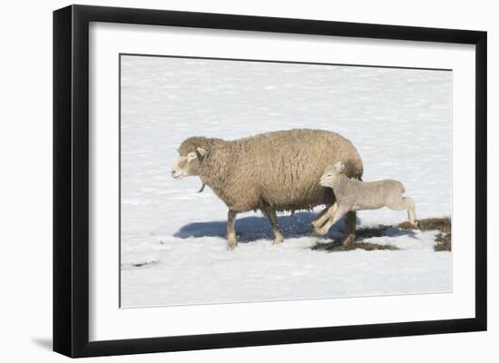 Jump for Joy-Orah Moore-Framed Art Print