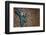 Jump-Banksy-Framed Giclee Print