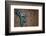 Jump-Banksy-Framed Giclee Print