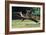 Jump-Colin Bootman-Framed Giclee Print