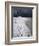 Jumping Above the Borax Deposits on Borders of Laguna Colorado, Bolivia, South America-Aaron McCoy-Framed Photographic Print